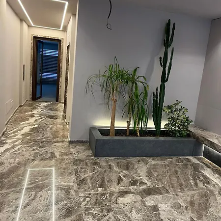 Piccinni Exclusive 5 *